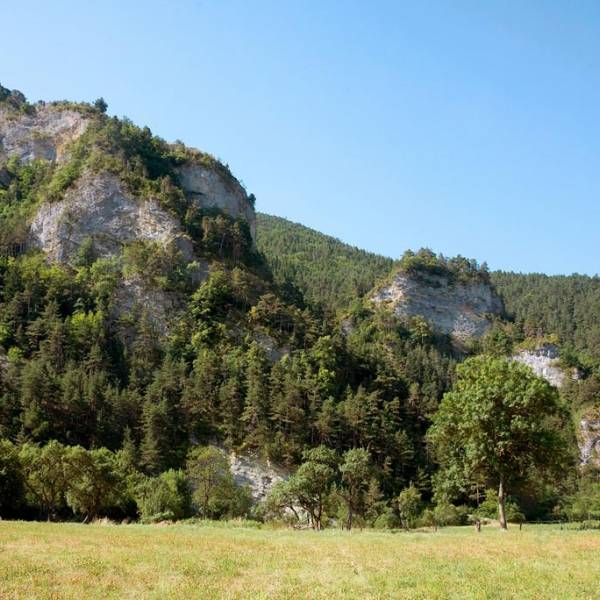 centre-equestre-pres-de-grenoble-2.jpg